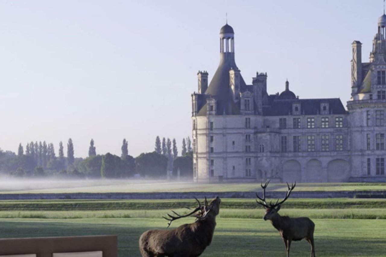 Gite 6P proche Chambord dans écuries de charme Vineuil  Exterior foto